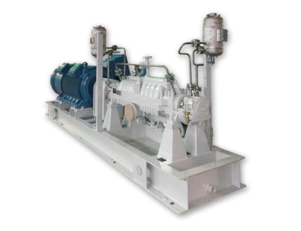 Sundyne Pump API BB3 multistage